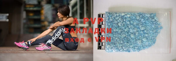 крисы Алексин