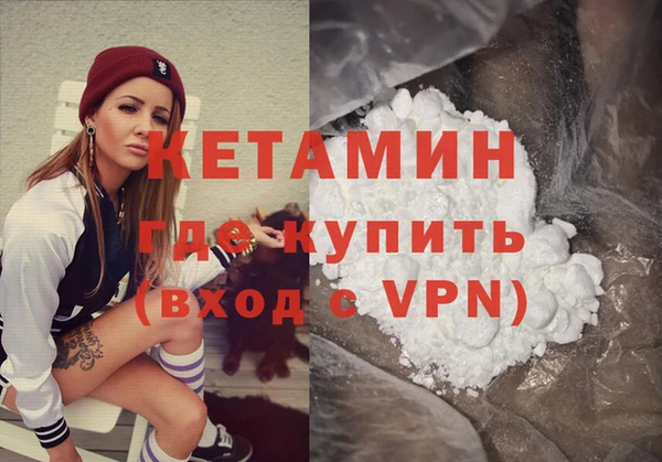 крисы Алексин