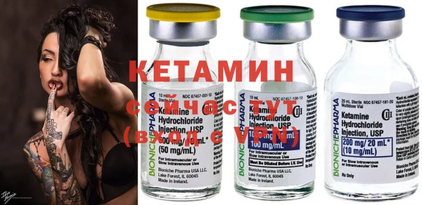 крисы Алексин