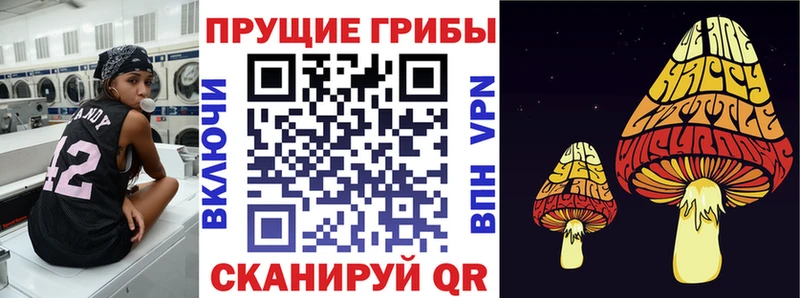Псилоцибиновые грибы Cubensis Новая Ляля